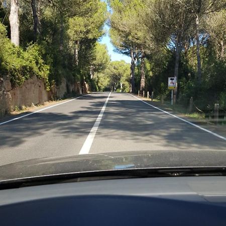 Los Vientos Son Parc Esterno foto