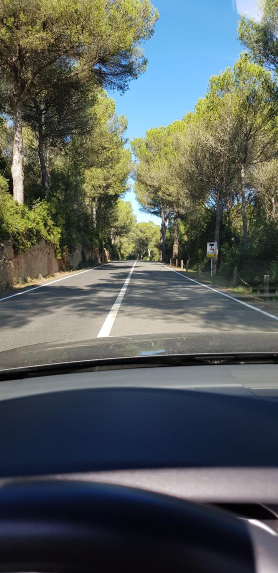 Los Vientos Son Parc Esterno foto